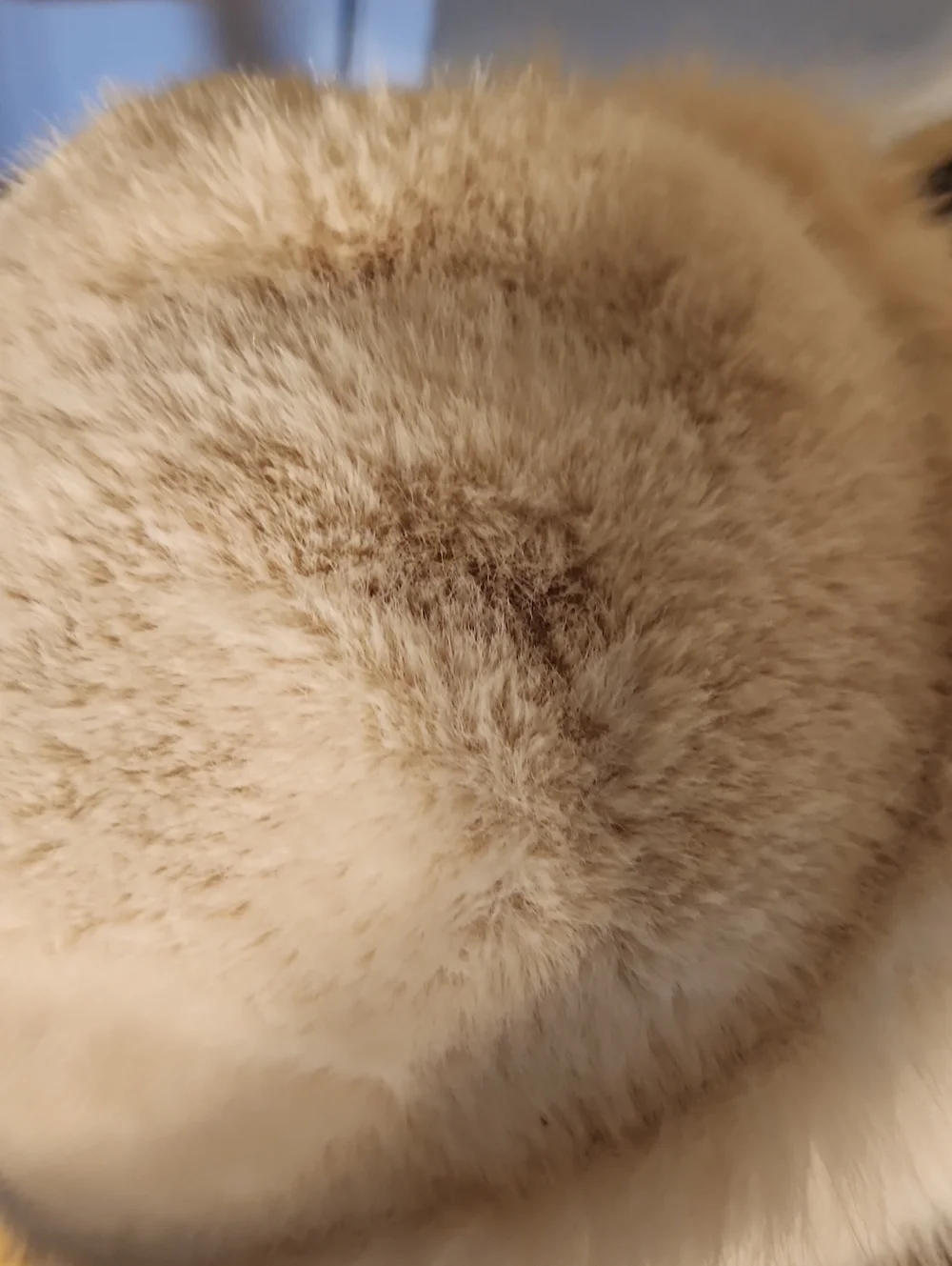 N/A soft cream